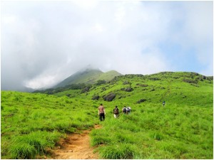 SHANDE: Jenukallu Gudda: less Trek more Hike